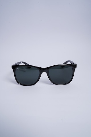 Polo Black Pb 109 C2 Füme Erkek Güneş Gözlüğü -pb 109 C2 Füme