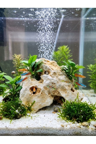 Akvaryum Taşı Moonstone Aytaşı Delikli Bahçe Ve Akvaryum Dekorasyon Doğaltaş