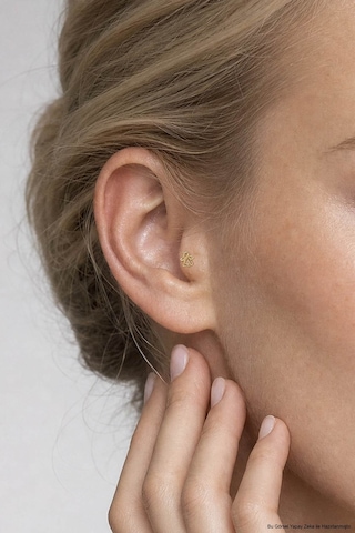 Şans Meleği 18 Ayar Sarı Altın Kaplama Gümüş Tragus-helix Piercing