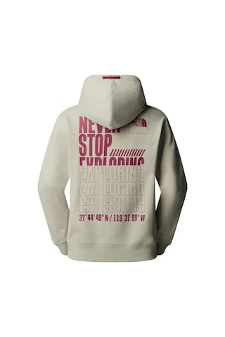 The North Face Erkek Coordınates Kapüşonlu Nf0a89d91ı41 001