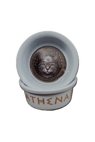 Raccoon Olimpos Serisi Athena Seramik Mama Ve Su Kabı 300ml