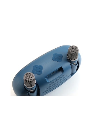 Tg Tg542dk Usb/sd/fm/bluetooth Destekli Taşınabilir 2 El Mikrofon