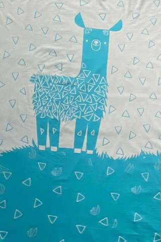 Organik Triko Bebek Örtüsü, Lama 80x90 , Turkuaz