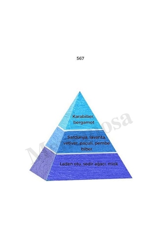 Bargello 567 Erkek Parfüm EDP 50 ML Fresh - Mnms50567 Aromatik