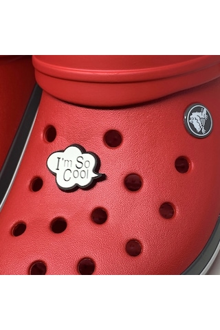 Crocs Terlik Süsü & Renkli Aksesuar Jibbitz (474781945) Çok Renkli
