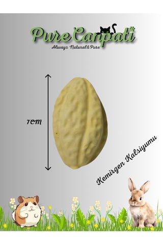 Purecanpati Kemirgen Kalsiyumu Limon