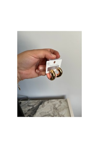 Gold Ve Pembe Mineli Yarım Halka Küpe - Modern Tasarım Pembe