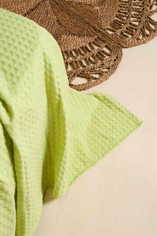 Viva %100 Pamuk Lime Yeşil Pike 200x220 2604 Yeşil