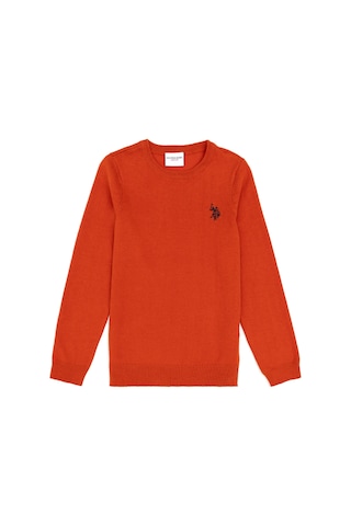 U.S. Polo Assn. Kız Çocuk Kiremit Bisiklet Yaka Basic Kazak 50293586-VR031