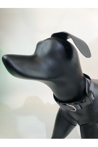 Mita Ayarlanabilir Köpek Boyun Tasması Antrasit