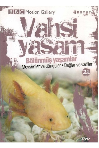 Bbc Motion Gallery - Vahşi Yaşam Bölünmüş Yaşamlar Mevsimler Ve Döngüler Dağlar Ve Vadiler - Dvd