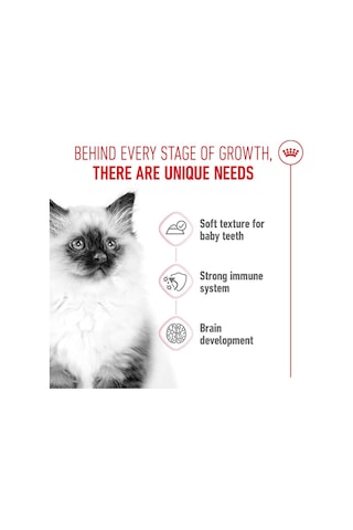 Royal Canin Kitten Jelly Pouch Yaş Mama, Yavru Kedi, 85 G X 12 Adet