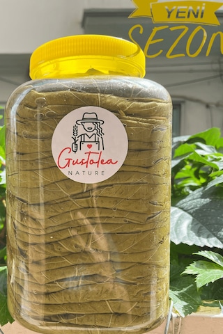 Gustolea Nature Manisa Sultaniye İlk Hasat İnce Damarsız Salamura Uç Asma Yaprağı 2025  Yeni Sezon