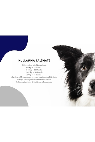 Pet Feed Forte Plus Dogs 100 Ml Köpekler İçin Tüy Sağlığı - Tüy Dökülmesi Önleyici Damla
