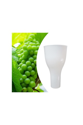 Homyl Üzüm Daldırma Fincanı 8.66x4.72 "aksesuarlar Meyve