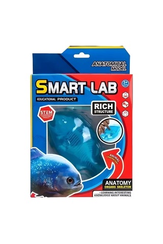 Köpek Balığı Laboratuvar Seti - 802b