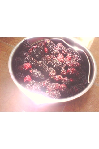 Karadut Marmeladı 400g