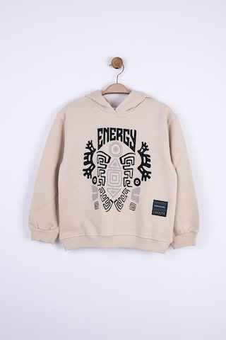 Nk Kids Erkek Çocuk Kapüşonlu Energy Baskılı Sweatshirt-13013-bej Bej