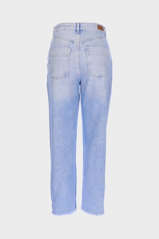 Ariana Açık Mavi Yüksek Bel Patı Fermuarlı Mom Jean C 4525-141 Açık Mavi