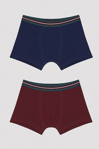 Penti Erkek Çocuk Simple Bn 2'li Boxer Çok Renkli
