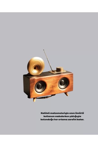 Home Çift Hoparlörlü Bluetooth Gramofon Speaker Fm Radyo, Usb, Sd Kart Ve Aux Girişli