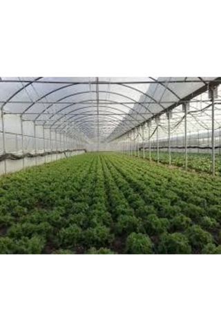 36 Aylık Sera Naylonu 360 Mikron Uv - Eva-ır-ao-ae Katkılı 7x8