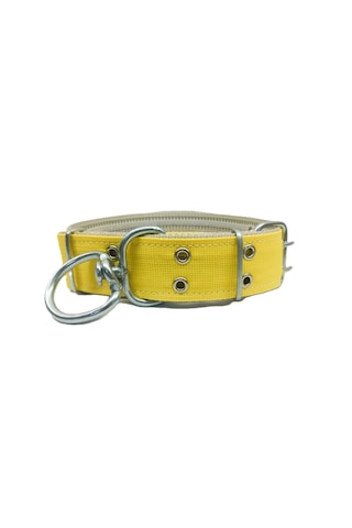 İri Ve Büyük Cinsler İçin Kanğal Köpek Tasması 80x5 Cm Sarı