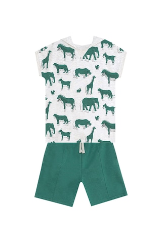 Denokids Mshb&g Animals Erkek Çocuk T-shirt Şort Takım Çok Renkli