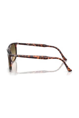 Ray-ban Rb 2216 14290a 58 Erkek Güneş Gözlüğü Kahverengi