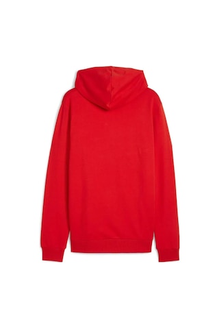 Puma Teamgoal Casuals Hoody Erkek Futbol Sweatshirts 65861801 Kırmızı Pchs-3