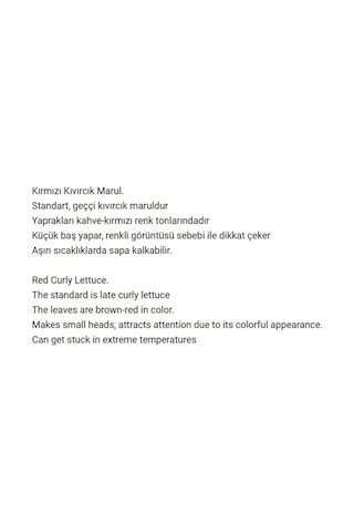 AGRodal Tarım Ata Tohumu Yerli Kırmızı Marul 1000 Adet Tohum