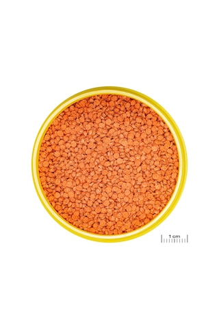 Jbl - 841 - Pronovo Bıts Grano - Csmo-tex - M 5,5l