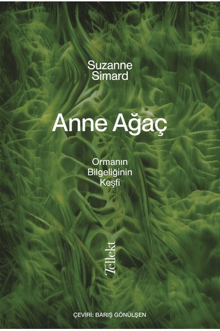Anne Ağaç 9786257118842