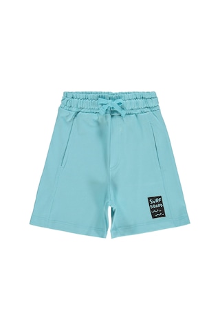 Civil Boys Basic Have Fun Baskılı 2-5 Yaş Şort - Yeşil Koyu Mint