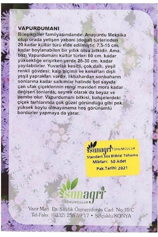 SunaGRi Vapur Dumanı Çiçek Tohumu