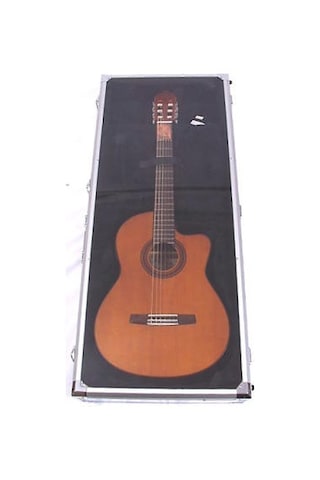 Valencıa Dsc420 Akustik Gitar Teşhir Çantası Dreadnought Show C