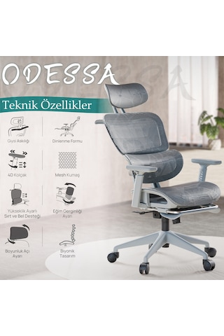 Karr Office Odessa Fonksiyonel Çalışma Koltuğu Gri