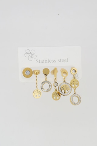 Kadın Kararmaz 6'Lı Hayat Ağacı Detaylı Çelik Set Küpe Altın-M