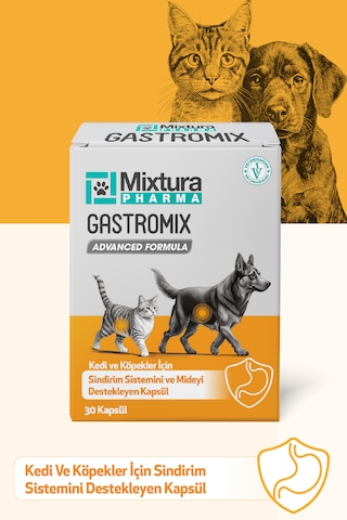 Mixtura Pharma Gastromix Mide Ve Sistemini Kedi Ve Köpek Mide Koruyucu
