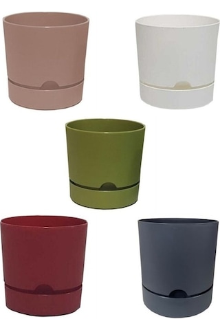 5 Adet Polıwork Saksı Begonya 15 Cm