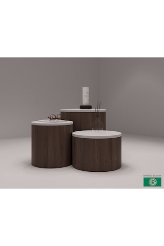 Salon Orta Sehpa 3 Parça