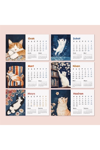 2027 Kedili Masa Takvimi Üç Aylık Takvim - Önceki Ay Sonraki Ay Kedi Severlere Hediye