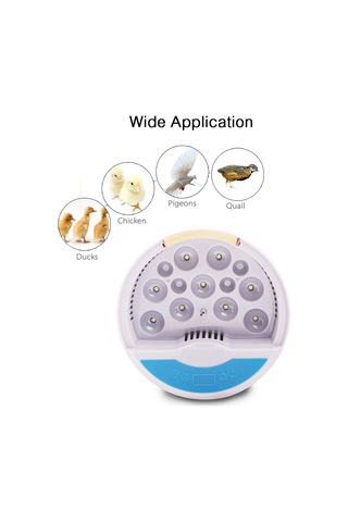 Geeksen Dijital Yumurta Kuluçka Makinesi Otomatik Sıcaklık Kontrolü Büyüme Gözlemlemek İçin Led Iş Kuluçka Makinesi