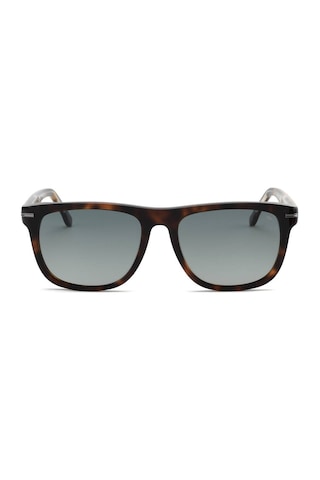 Superstep 886 55 18 145 02 Unisex Güneş Gözlüğü Kahverengi