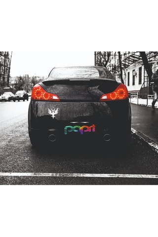 Ayyıldız Sticker