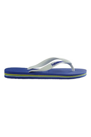 Havaianas Brasıl Logo Erkek Mavi Terlik - 4110850 Mavi