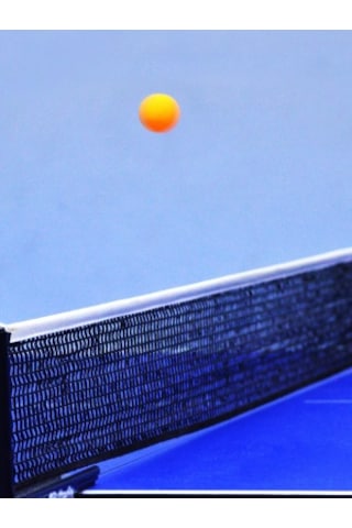 Masa Tenisi Filesi Taşınabilir Tüm Masalara Uyumlu Siyah