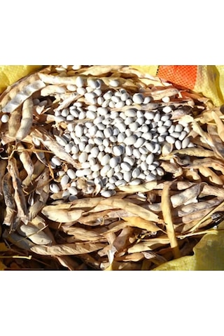 Akkuş Şeker Fasulye 1 Kg