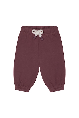 Antebies %100 Pamuk Kumaştan Üretilmiş, Cool Kids Nakışlı, Omuzdan Çıtçıtlı, Raglan Kollu, Uzun Kollu Bebek Sweatshirtü, Bel Lastikli Bağcıklı Pantolon Takımı Bordo