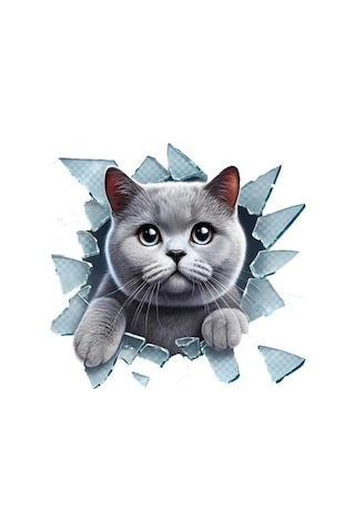 Büro Ev Ofis Arabası İçin 10x10cm Tekli Araç Dışı British Dog Oto Cam Stickerı